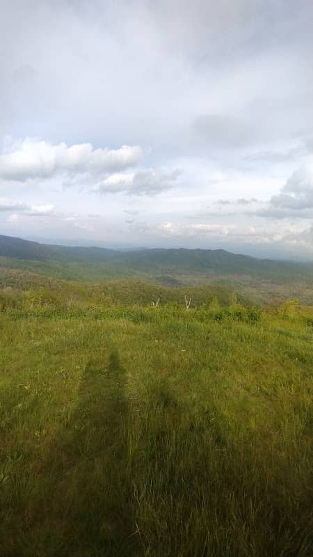 Blue ridge parkway - Image 3