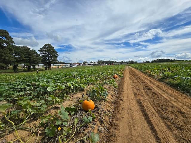 Gross Farms - Image 1