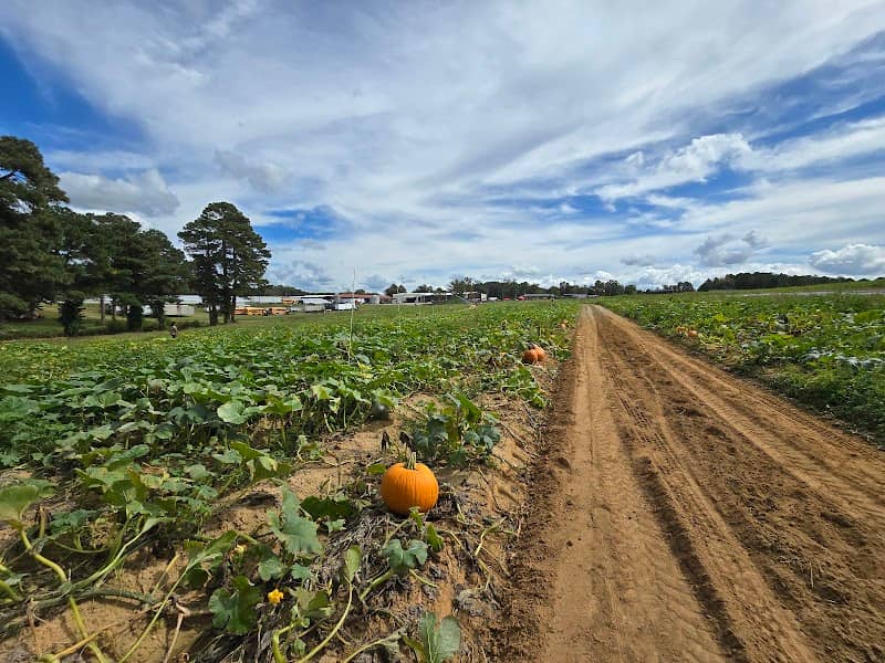 Gross Farms - Image 1