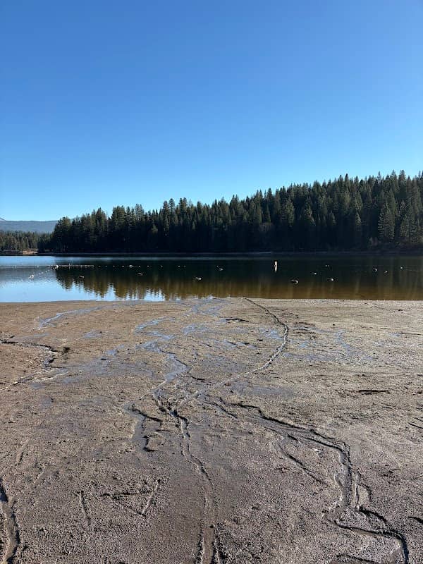 Duforest River - Image 1