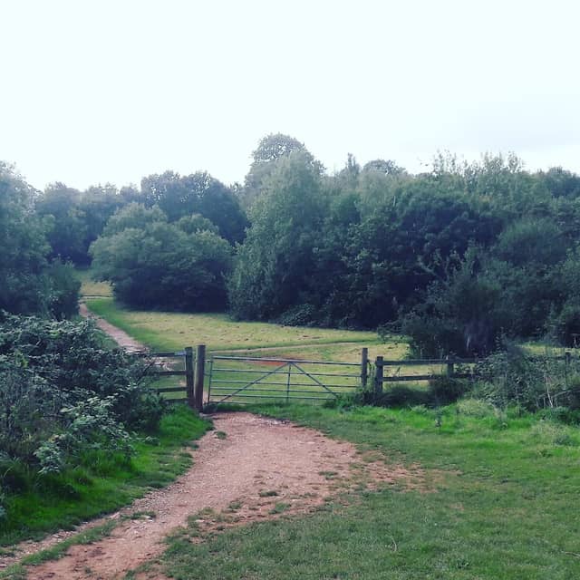 Mincinglake Valley Park - Image 2