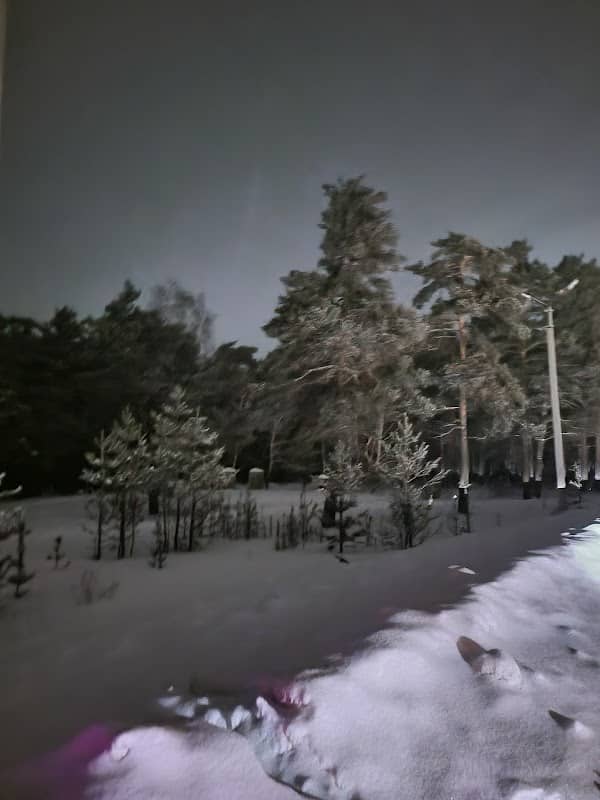 Mikhail Lysenko - Image 1