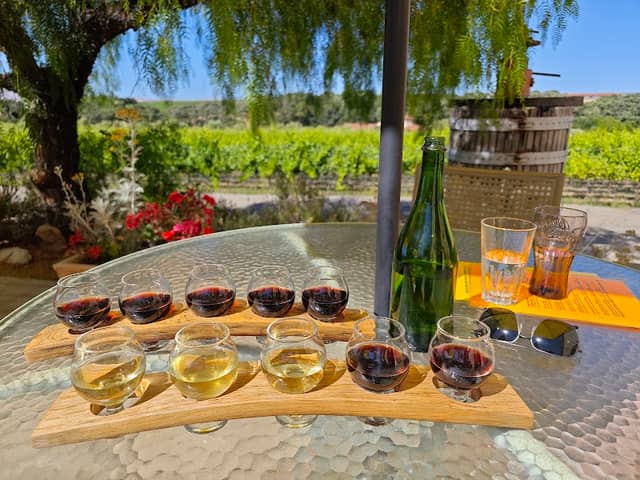 Tenuta Vineyards - Image 1
