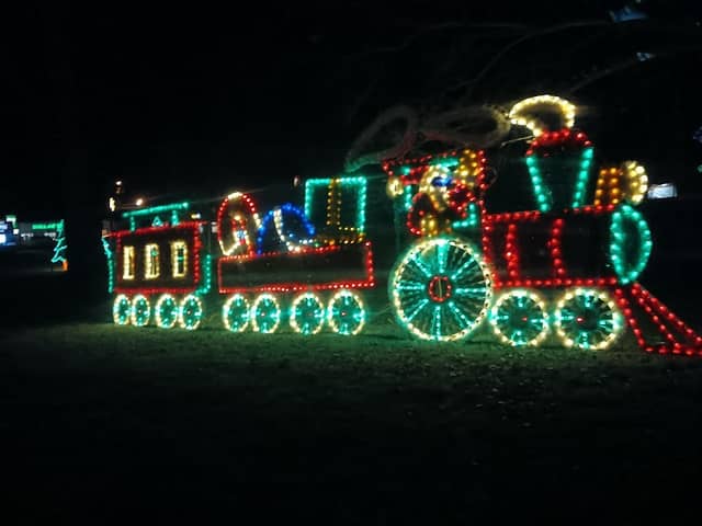 Winterland - Lights at the Park - Image 2