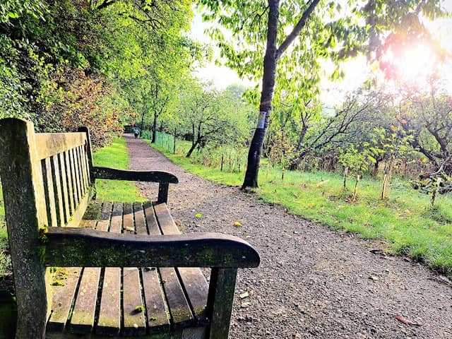 Shenley Park - Image 1