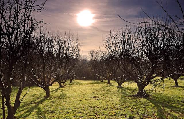 Shenley Park - Image 2