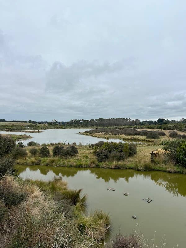Otipua Wetland - Image 1