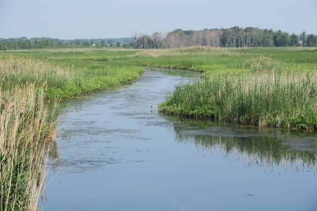 Big Creek National Wildlife Area - Image 2