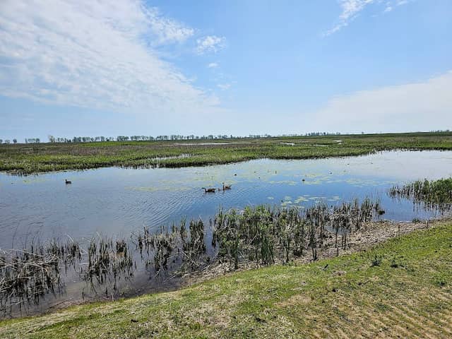 Big Creek National Wildlife Area - Image 1