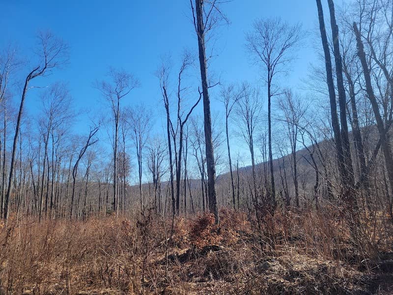 State Game Lands Number 57 - Image 1