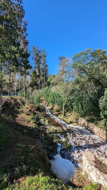 picnic area - Image 1