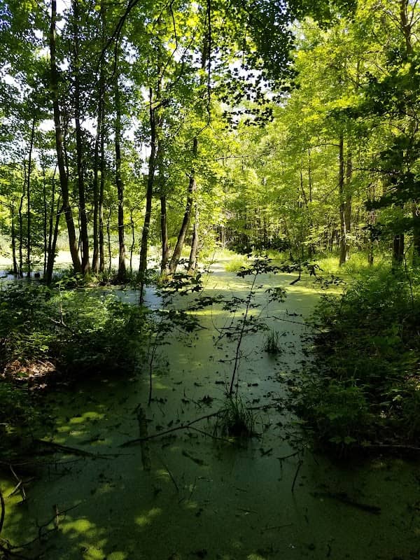 Schoolhouse Woods Nature Trail - Image 1