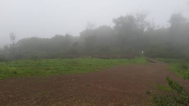 Bhrahmagiri Hills Viewpoint - Image 2