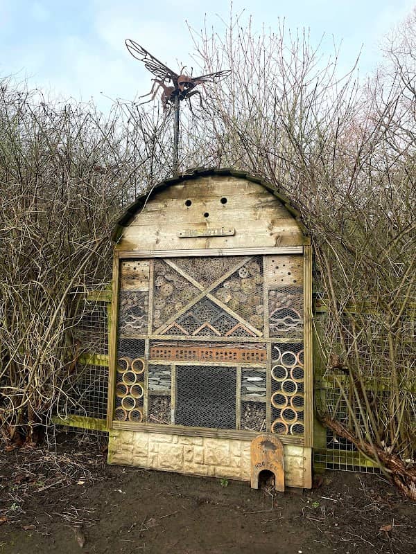 Bug House - Image 1