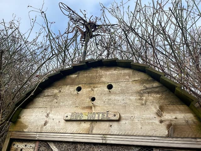 Bug House - Image 2