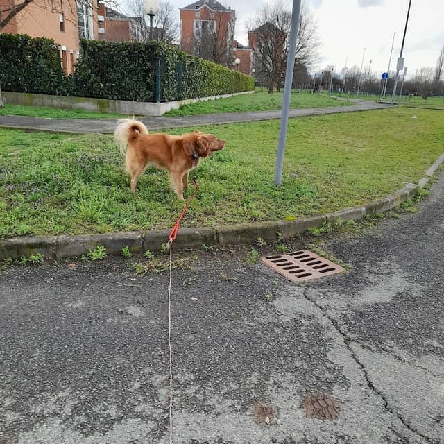 Parco Debouchè - Image 1