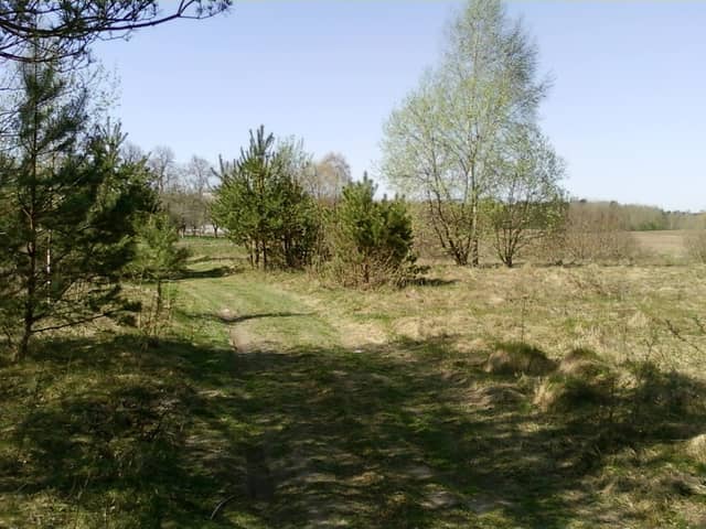 Skryl' - Image 2