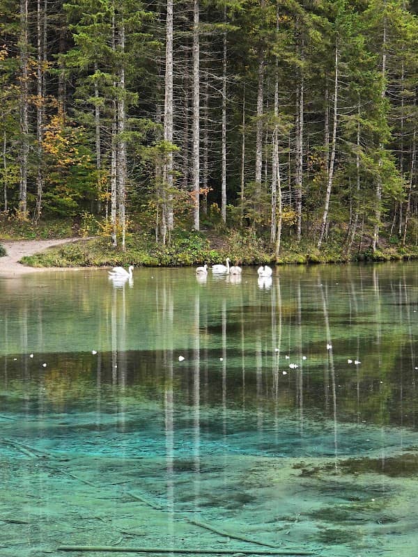 Strand Almsee - Image 2