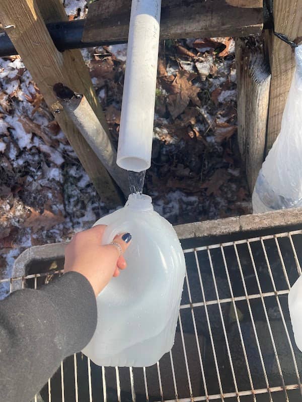 Fresh Water Spring - Image 3