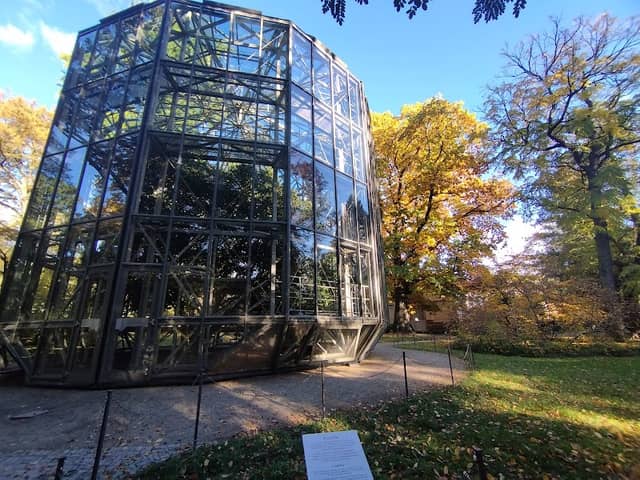 Kamelienhaus Pillnitz - Image 1