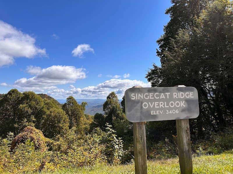 Blue Ridge Parkway - Image 2