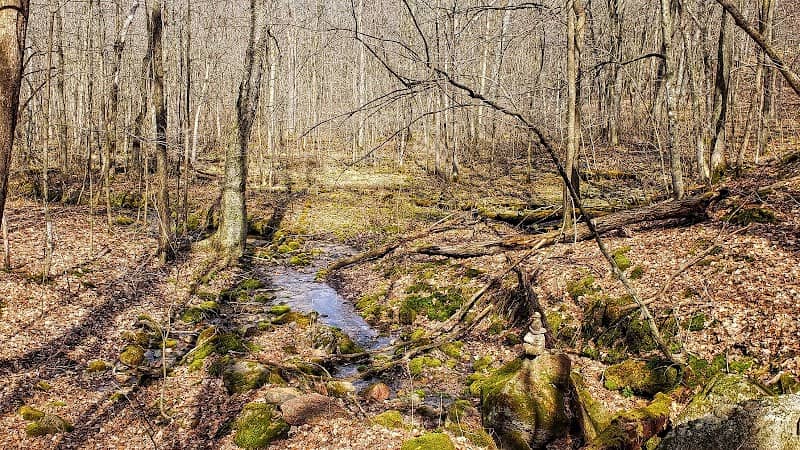 Lost Lake State Natural Area - Image 1