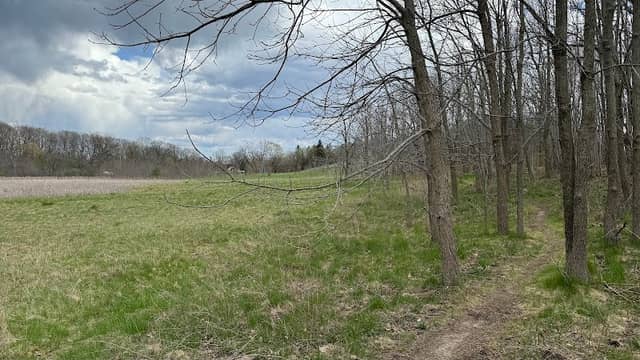 Kletzsch Park Sledding Hill (Skull Hill) - Image 1