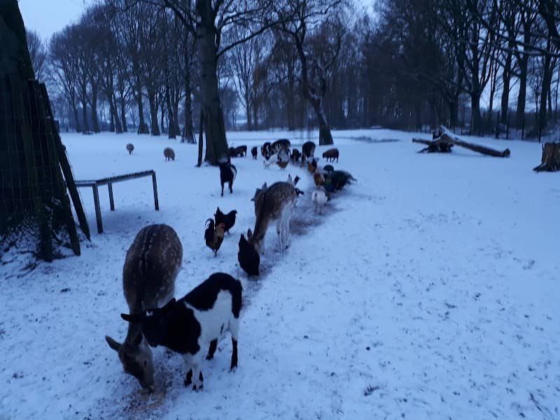 St. Dierenweide Nieuwe Pekela - Image 2