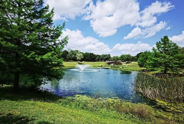 Forest Oaks Park - Image 2