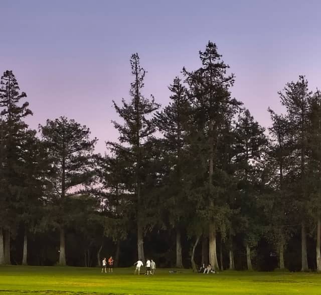 Willow Pass Community Park - Image 1