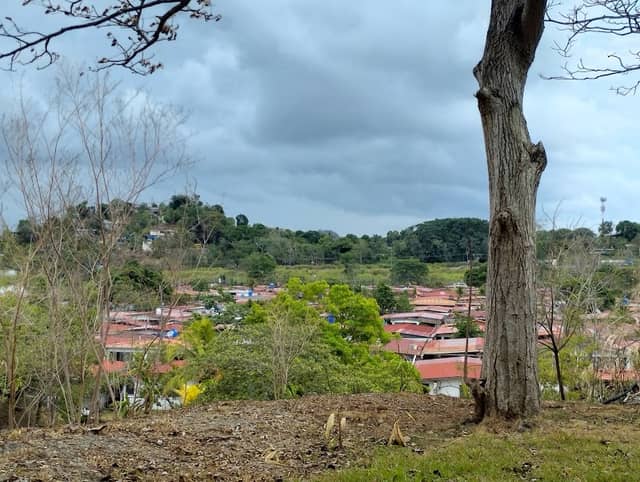 Cerro Cruz - Image 2