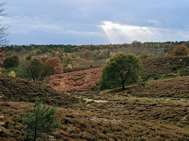 Groote Emmer (Nationaal Park Veluwezoom) - Image 1