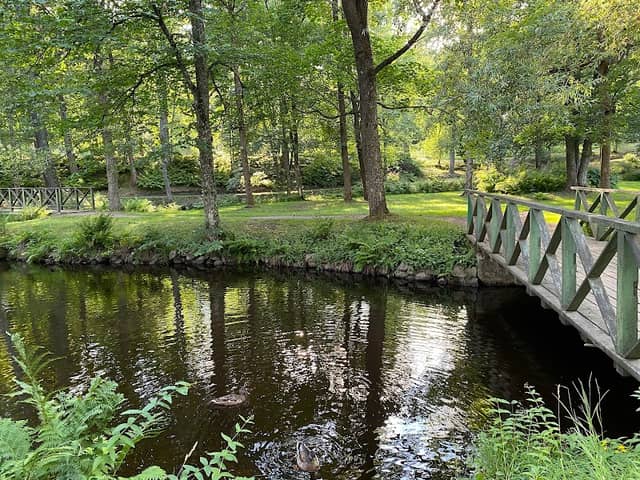 Boulognerskogen - Image 1