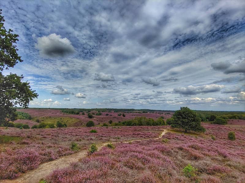 Kraaijenberg (Herikhuizerveld) Nationaal Park Veluwezoom)) - Image 1