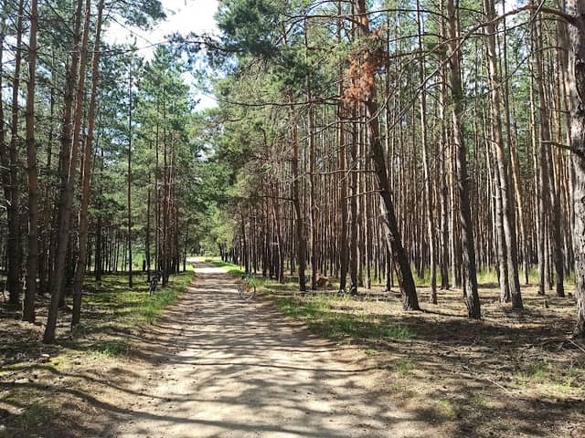 Former military training ground Bzenec - Image 1