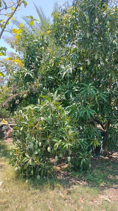 Rang Krishna Garden - Image 1