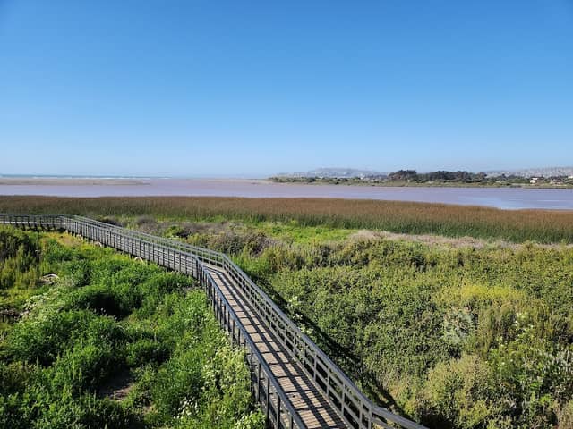 Rio Maipo Wetland - Image 2