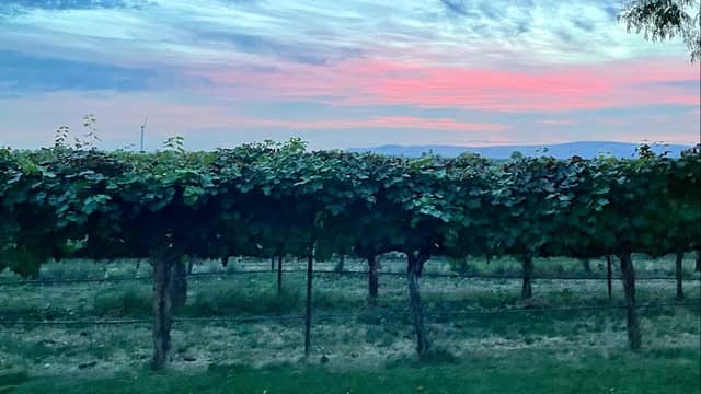 Barrel Springs Winery - Image 1
