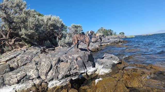 Paddle beach - Image 1