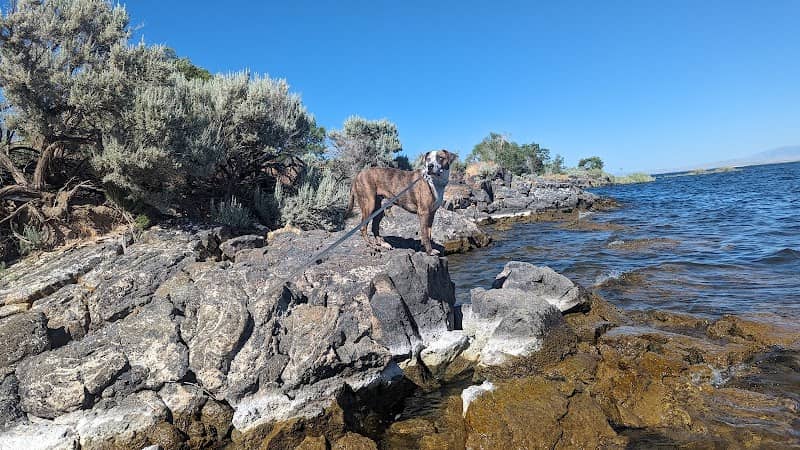 Paddle beach - Image 1