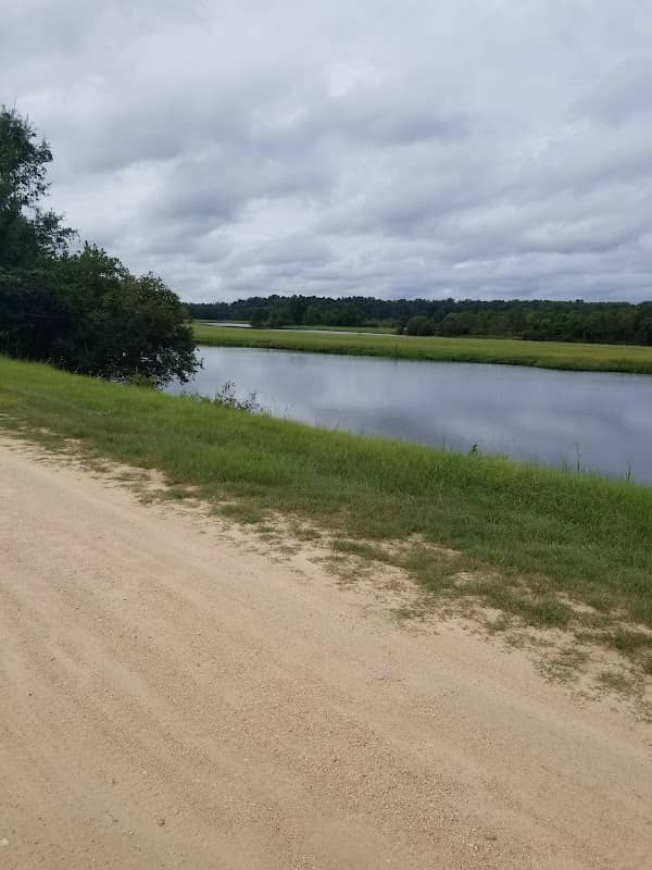 Recreation Area E: Duck Pond - Image 1