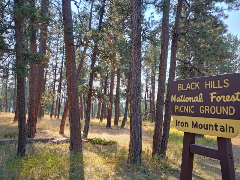 Iron Mountain Picnic Area - Image 1