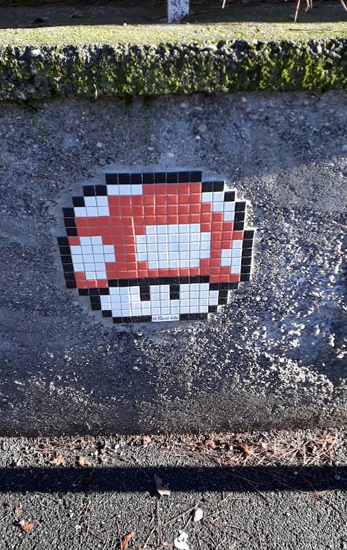 Mosaico del Fungo di Rovatinsky - Image 1