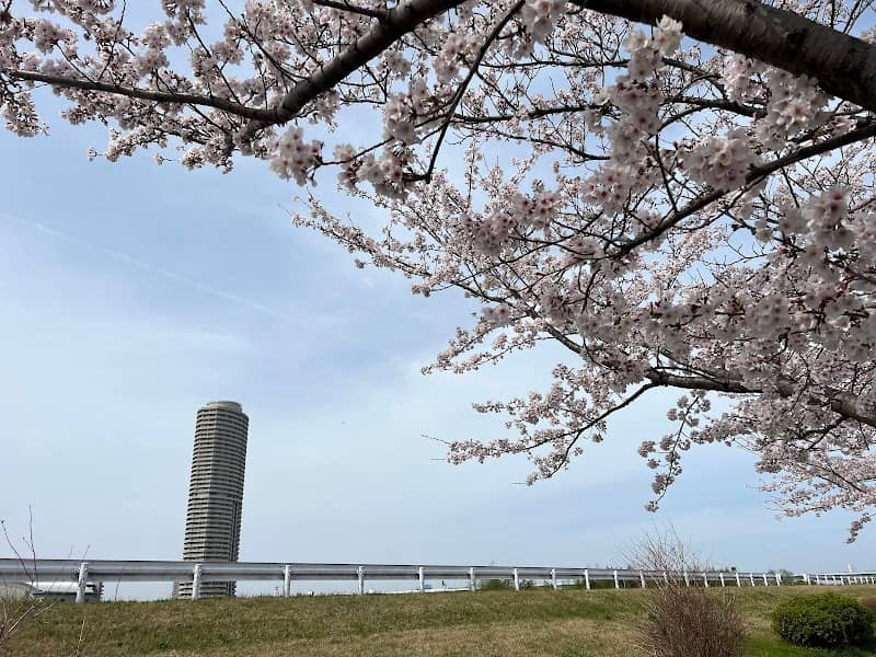 西味鋺桜づつみ - Image 1
