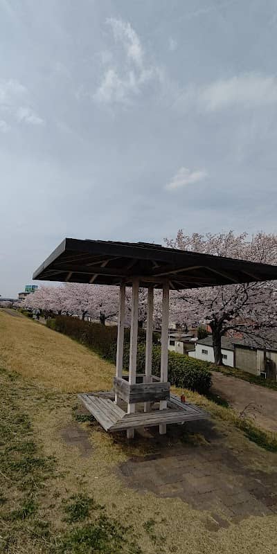 西味鋺桜づつみ - Image 2