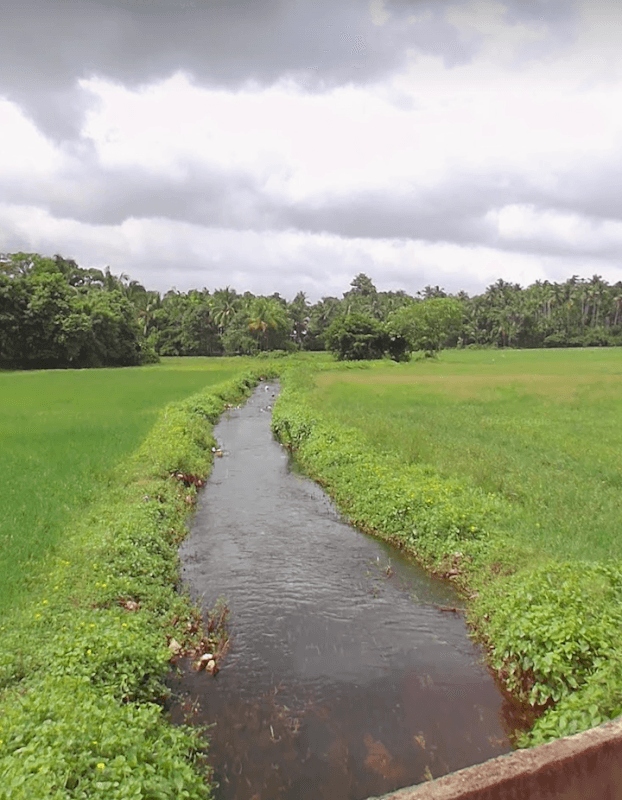 Karthik View Point - Image 1