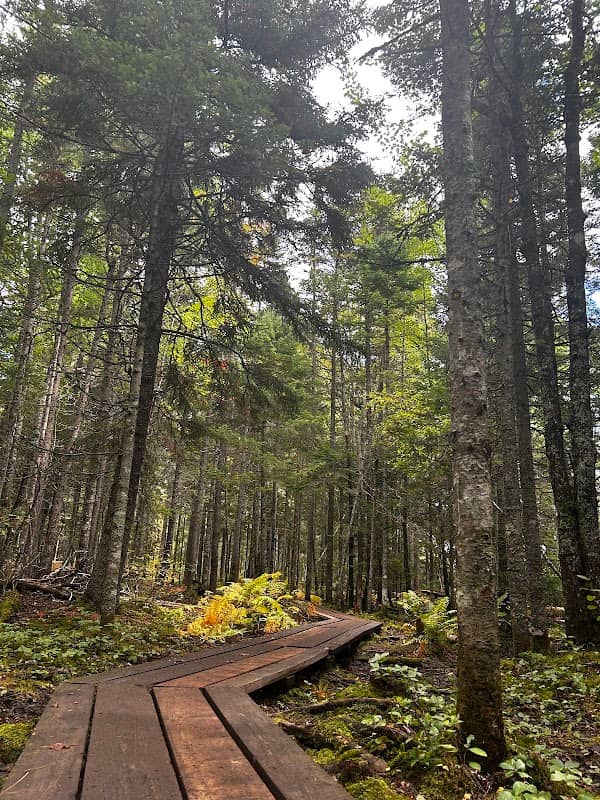 Irishtown Park - Image 1