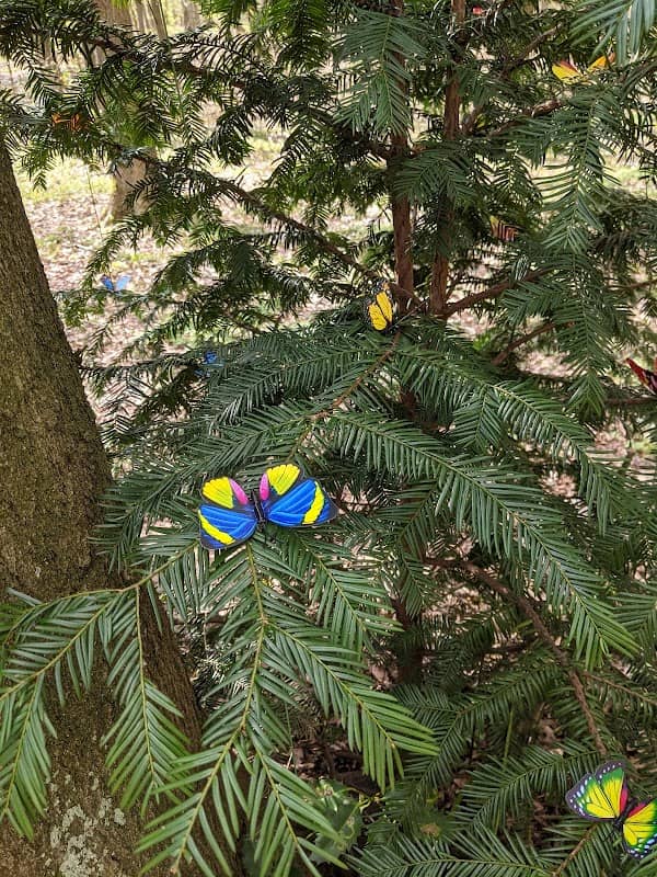 Wundertolledingebaum #wundertolledinge - Image 1