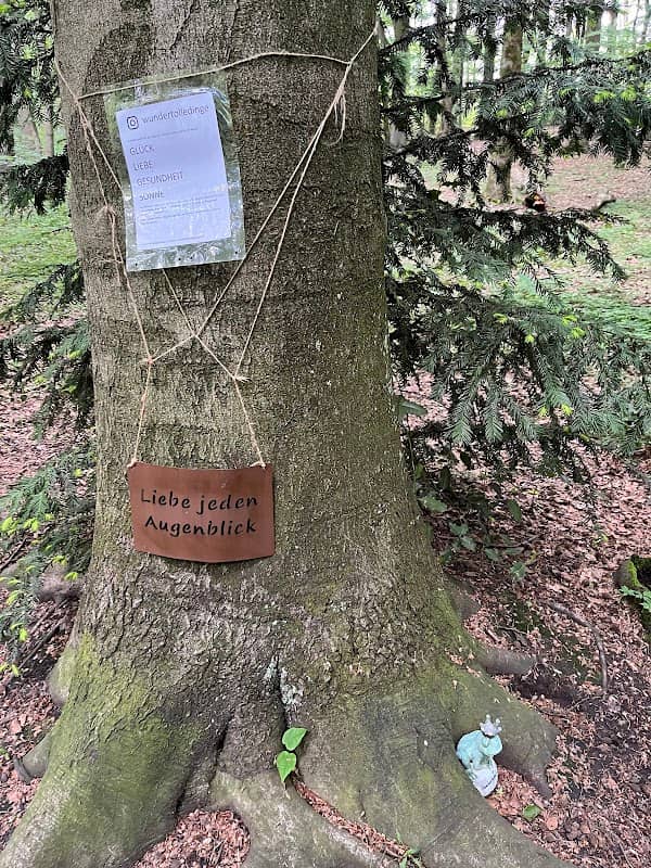 Wundertolledingebaum #wundertolledinge - Image 2
