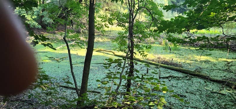 Stagno WWF - Image 1